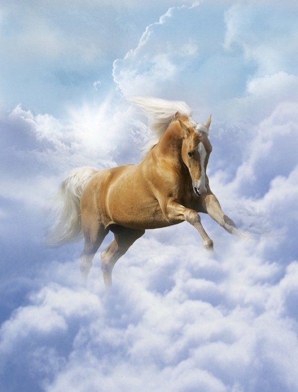 輸入壁紙 カスタム壁紙 PHOTOWALL / Cloud Horse (e29605)