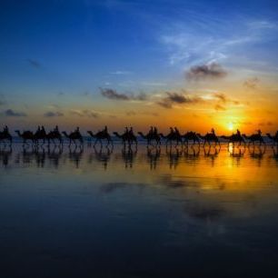 輸入壁紙 カスタム壁紙 PHOTOWALL / Sunset Camel Ride (e29748)