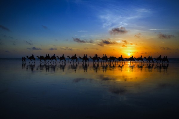 輸入壁紙 カスタム壁紙 PHOTOWALL / Sunset Camel Ride (e29748)
