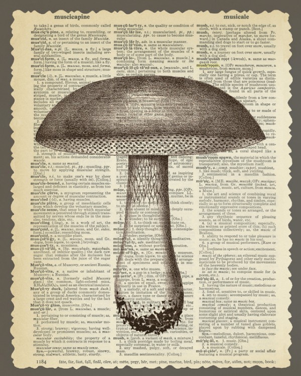 輸入壁紙 カスタム壁紙 PHOTOWALL / Mushroom and Text (e29853)