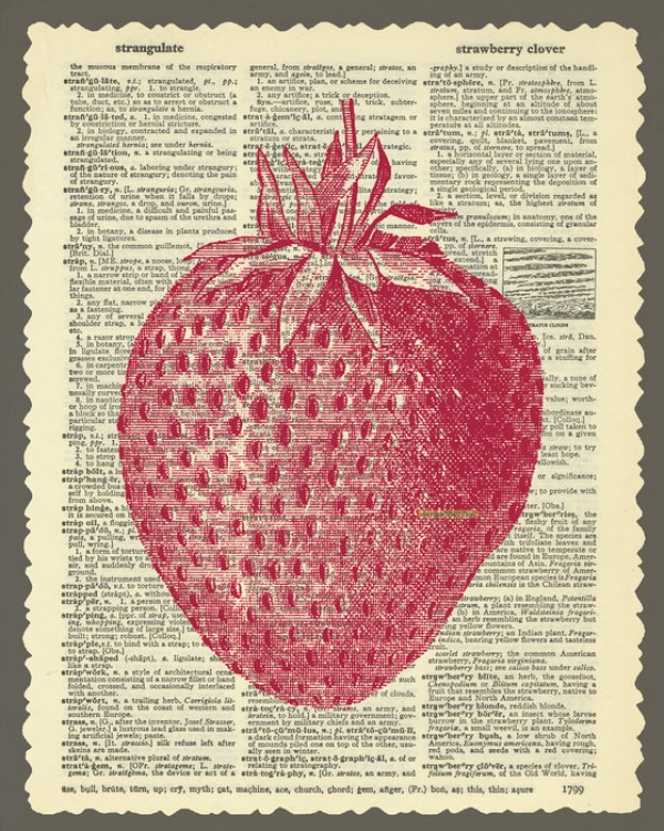 輸入壁紙 カスタム壁紙 PHOTOWALL / Strawberry and Text (e29854)