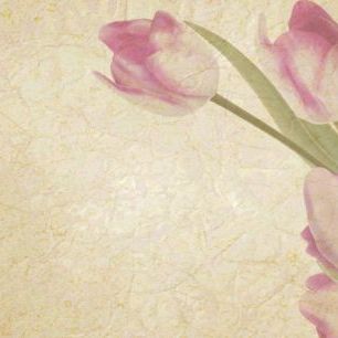 輸入壁紙 カスタム壁紙 PHOTOWALL / Vintage Tulips (e25822)