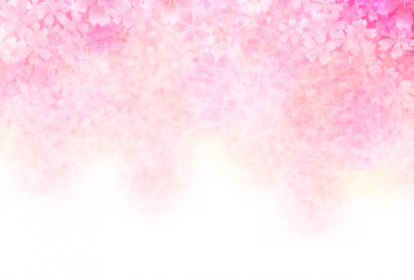 輸入壁紙 カスタム壁紙 PHOTOWALL / Cherry Blossom (e25824)