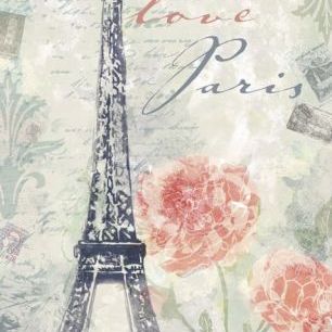 輸入壁紙 カスタム壁紙 PHOTOWALL / Love Paris (e30091)