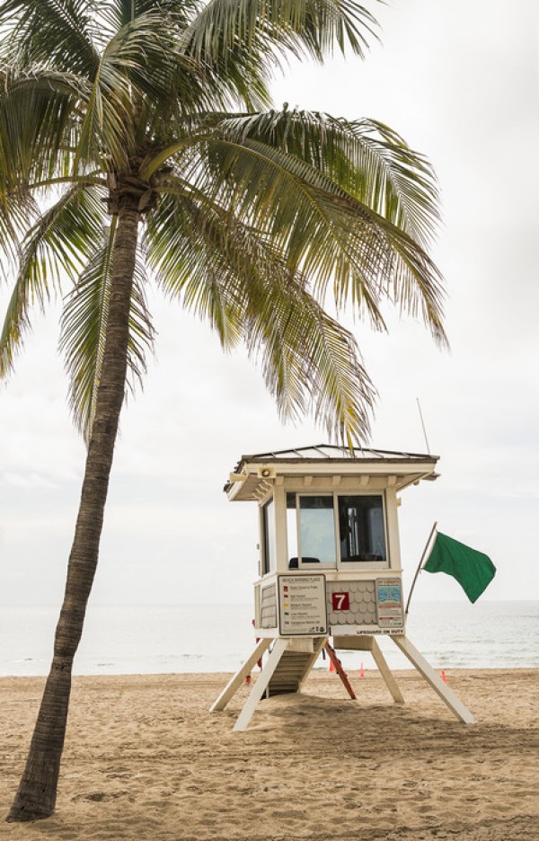 輸入壁紙 カスタム壁紙 PHOTOWALL / Green Flag on Florida Beach (e30048)
