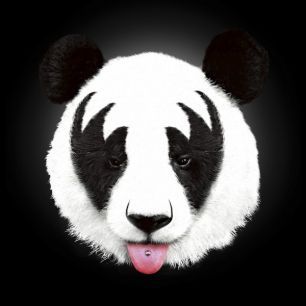 輸入壁紙 カスタム壁紙 PHOTOWALL / Kiss of a Panda (e30058)