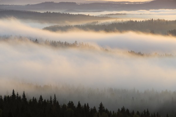 輸入壁紙 カスタム壁紙 PHOTOWALL / Fog in Bergslagen, Sweden (e40440)