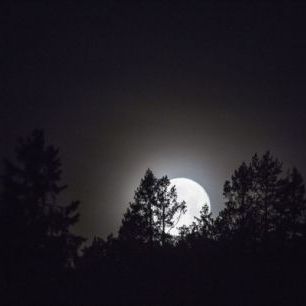 輸入壁紙 カスタム壁紙 PHOTOWALL / Moonlight over Medelpad, Sweden (e40465)