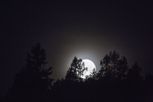 輸入壁紙 カスタム壁紙 PHOTOWALL / Moonlight over Medelpad, Sweden (e40465)