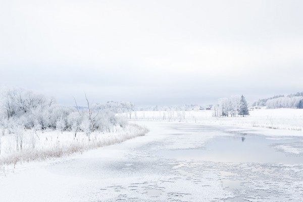 輸入壁紙 カスタム壁紙 PHOTOWALL / Svartan in Winter, Sweden (e40474)