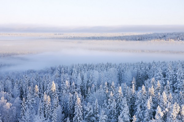 輸入壁紙 カスタム壁紙 PHOTOWALL / Winter in Ostersund, Sweden (e40475)