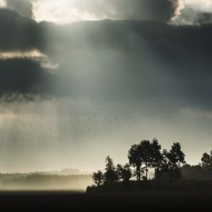 輸入壁紙 カスタム壁紙 PHOTOWALL / Sunbeam through Clouds in Stigtomta, Sweden (e40508)