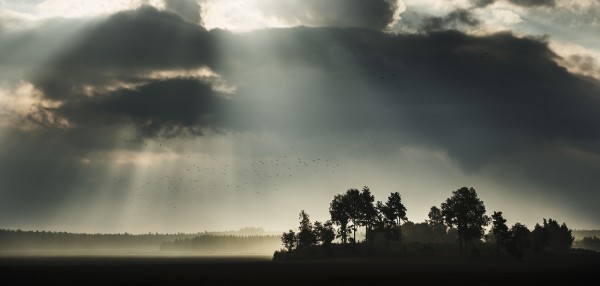 輸入壁紙 カスタム壁紙 PHOTOWALL / Sunbeam through Clouds in Stigtomta, Sweden (e40508)