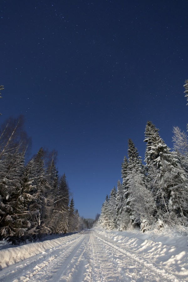 輸入壁紙 カスタム壁紙 PHOTOWALL / Winter Landscape in Mora, Sweden (e40511)