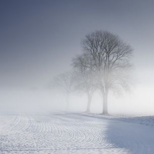 輸入壁紙 カスタム壁紙 PHOTOWALL / Winter Landscape in Skabersjo, Sweden (e40569)
