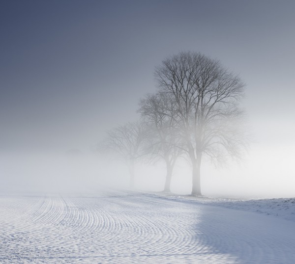 輸入壁紙 カスタム壁紙 PHOTOWALL / Winter Landscape in Skabersjo, Sweden (e40569)