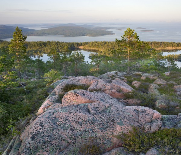 輸入壁紙 カスタム壁紙 PHOTOWALL / Skuleskogen National Park, Sweden (e40574)