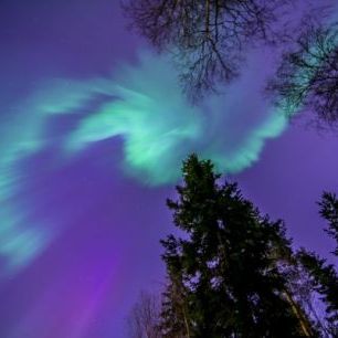 輸入壁紙 カスタム壁紙 PHOTOWALL / Northern Light - Purple Sky (e40581)