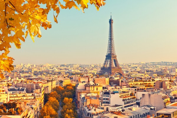 輸入壁紙 カスタム壁紙 PHOTOWALL / Eiffel Tower Autumn View (e40665)