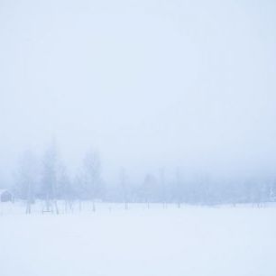 輸入壁紙 カスタム壁紙 PHOTOWALL / Filipshyttan covered in Fog, Sweden (e40737)
