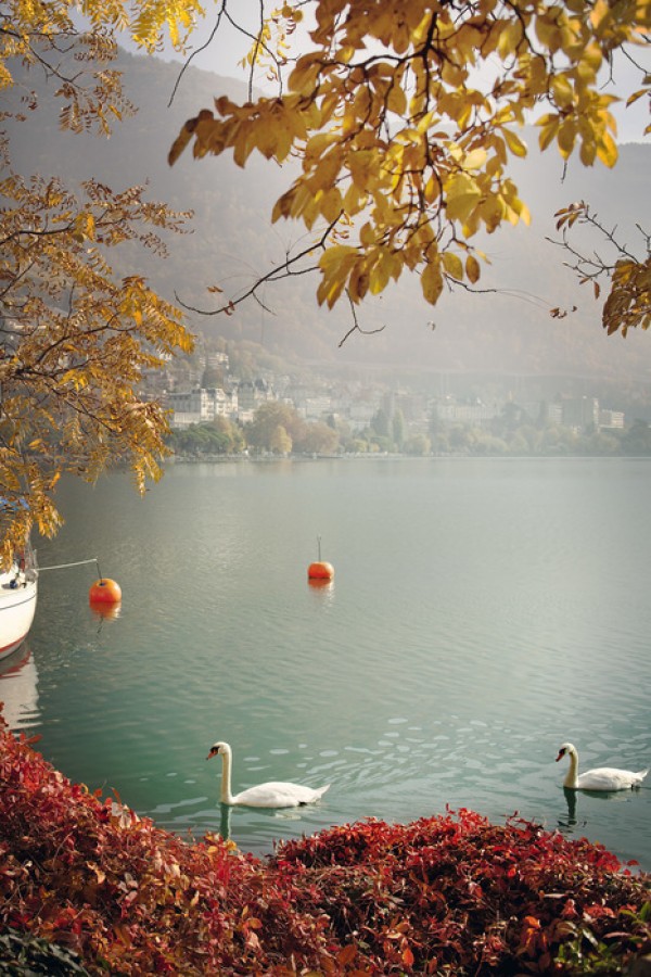 輸入壁紙 カスタム壁紙 PHOTOWALL / Autumn in Montreux, Schweiz (e40754)
