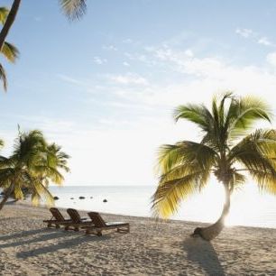 輸入壁紙 カスタム壁紙 PHOTOWALL / Beach in Islamorada in Florida Keys, USA (e40755)