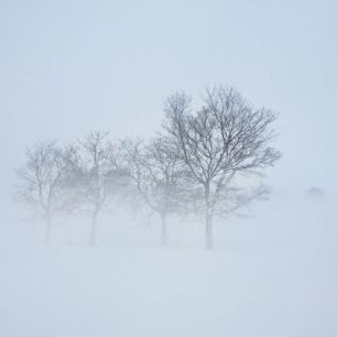 輸入壁紙 カスタム壁紙 PHOTOWALL / Stockholm Field hiding in Fog, Sweden (e40768)