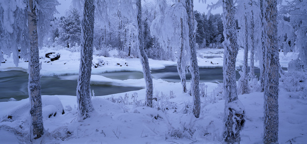 輸入壁紙 カスタム壁紙 PHOTOWALL / Kengisforsen in Winter Dress (e40818)
