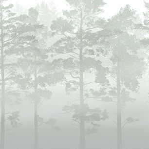 輸入壁紙 カスタム壁紙 PHOTOWALL / Misty Pine Forest - Green (e30625)