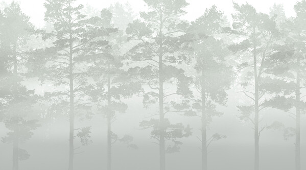 輸入壁紙 カスタム壁紙 PHOTOWALL / Misty Pine Forest - Green (e30625)