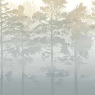 輸入壁紙 カスタム壁紙 PHOTOWALL / Misty Pine Forest (e30626)