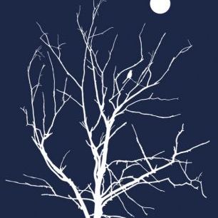 輸入壁紙 カスタム壁紙 PHOTOWALL / Lonely Bird Night Moon (e30655)