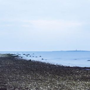輸入壁紙 カスタム壁紙 PHOTOWALL / Point Furillen Gotland (e30781)
