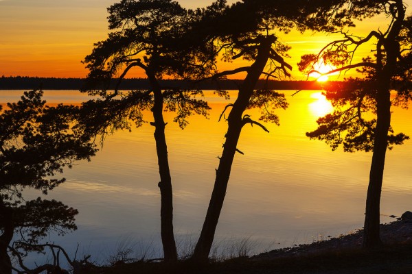 輸入壁紙 カスタム壁紙 PHOTOWALL / Sunset the Baltic Gotland (e30784)