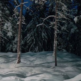 輸入壁紙 カスタム壁紙 PHOTOWALL / Winter Lighting in Nacka, Sweden (e30804)