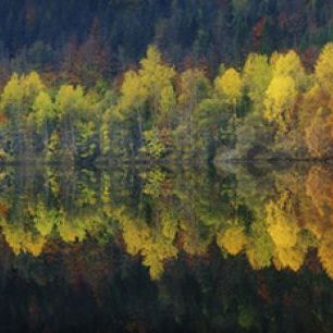 輸入壁紙 カスタム壁紙 PHOTOWALL / Autumnal Silence (e30961)