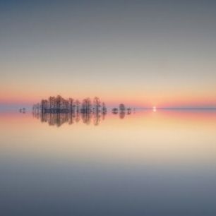 輸入壁紙 カスタム壁紙 PHOTOWALL / Dawn at Lake Mattamuskeet (e30963)