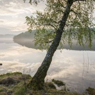 輸入壁紙 カスタム壁紙 PHOTOWALL / Beautiful Swedish Lake (e41139)