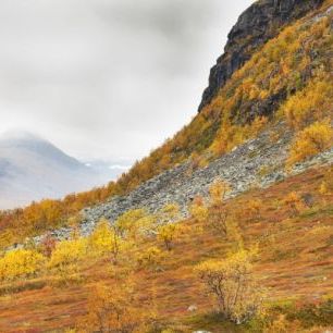 輸入壁紙 カスタム壁紙 PHOTOWALL / Saltoluokta Autumn Landscape (e41163)