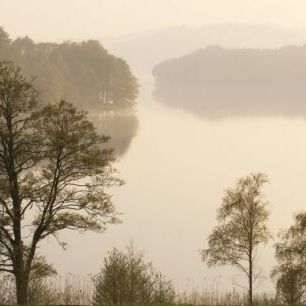 輸入壁紙 カスタム壁紙 PHOTOWALL / Swedish Misty Lake (e41168)