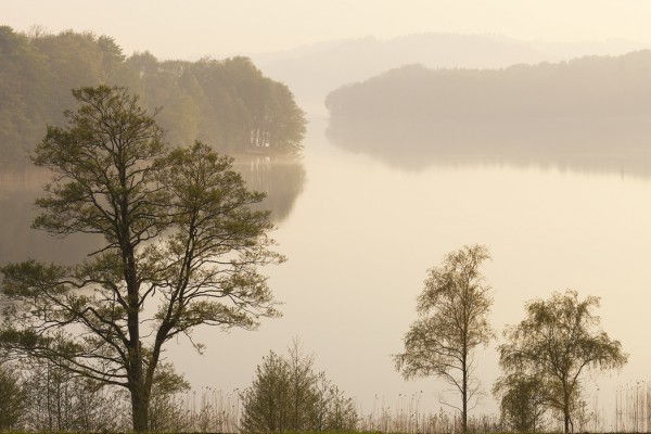 輸入壁紙 カスタム壁紙 PHOTOWALL / Swedish Misty Lake (e41168)