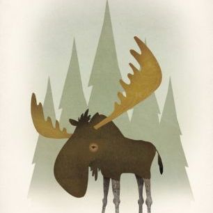 輸入壁紙 カスタム壁紙 PHOTOWALL / Forest Moose (e50216)
