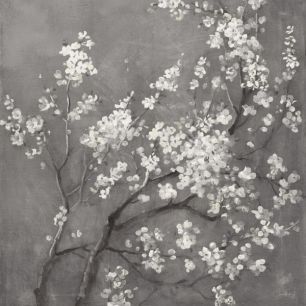 輸入壁紙 カスタム壁紙 PHOTOWALL / White Cherry Blossoms I on Grey Crop (e50222)