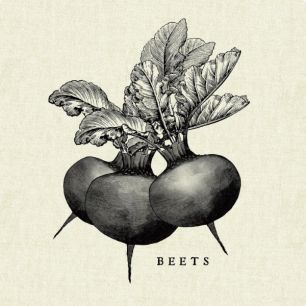 輸入壁紙 カスタム壁紙 PHOTOWALL / Kitchen Illustration - Beets (e31005)