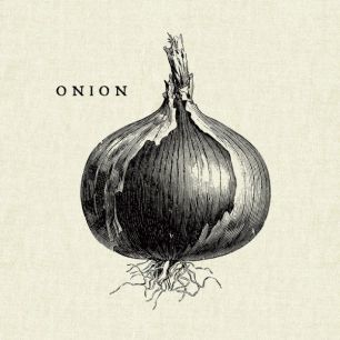 輸入壁紙 カスタム壁紙 PHOTOWALL / Kitchen Illustration - Onion (e31007)