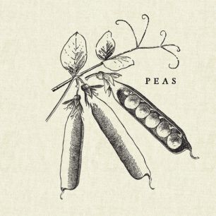 輸入壁紙 カスタム壁紙 PHOTOWALL / Kitchen Illustration - Peas (e31008)