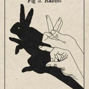 輸入壁紙 カスタム壁紙 PHOTOWALL / The Art of Shadows - Rabbit (e31045)