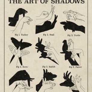 輸入壁紙 カスタム壁紙 PHOTOWALL / The Art of Shadows (e31050)