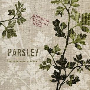 輸入壁紙 カスタム壁紙 PHOTOWALL / Organic Parsley (e31051)