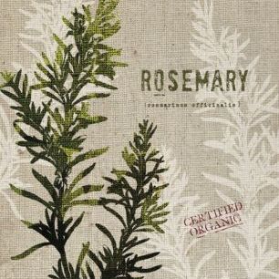 輸入壁紙 カスタム壁紙 PHOTOWALL / Organic Rosemary (e31052)